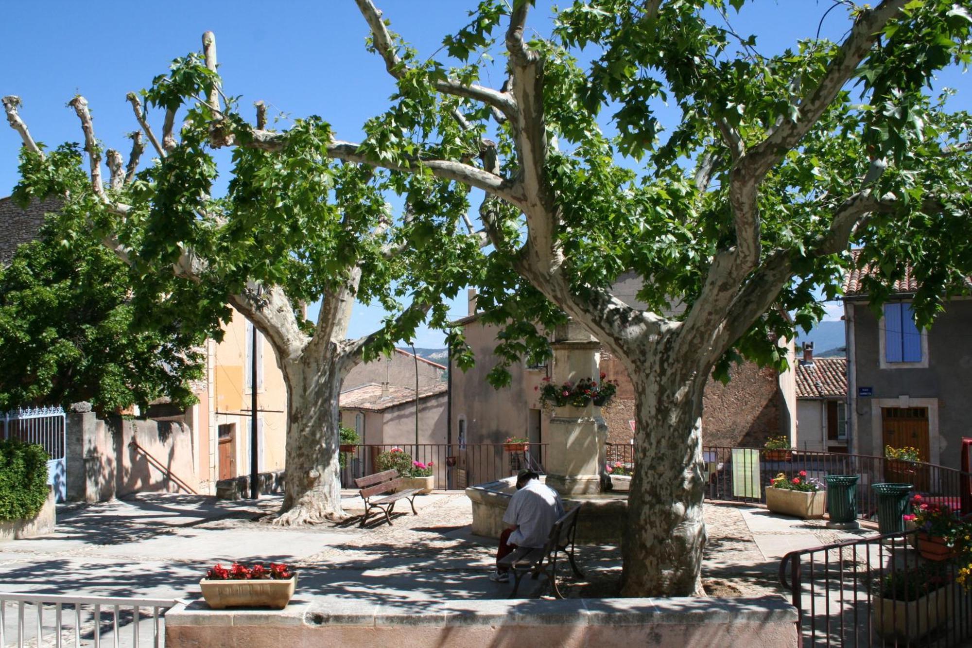 Chambre Du Platane - Bed & Breakfast Saint-Saturnin-les-Apt Exterior photo